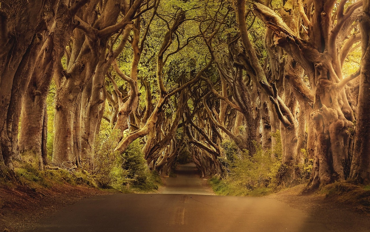 Ireland — Small-Group Guided Tour
