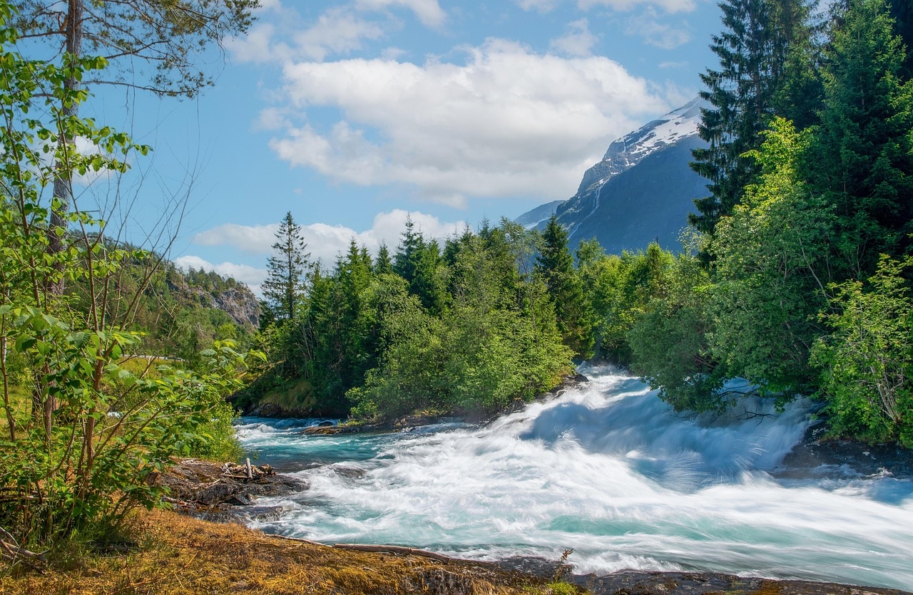 Norway Fjord Cruises