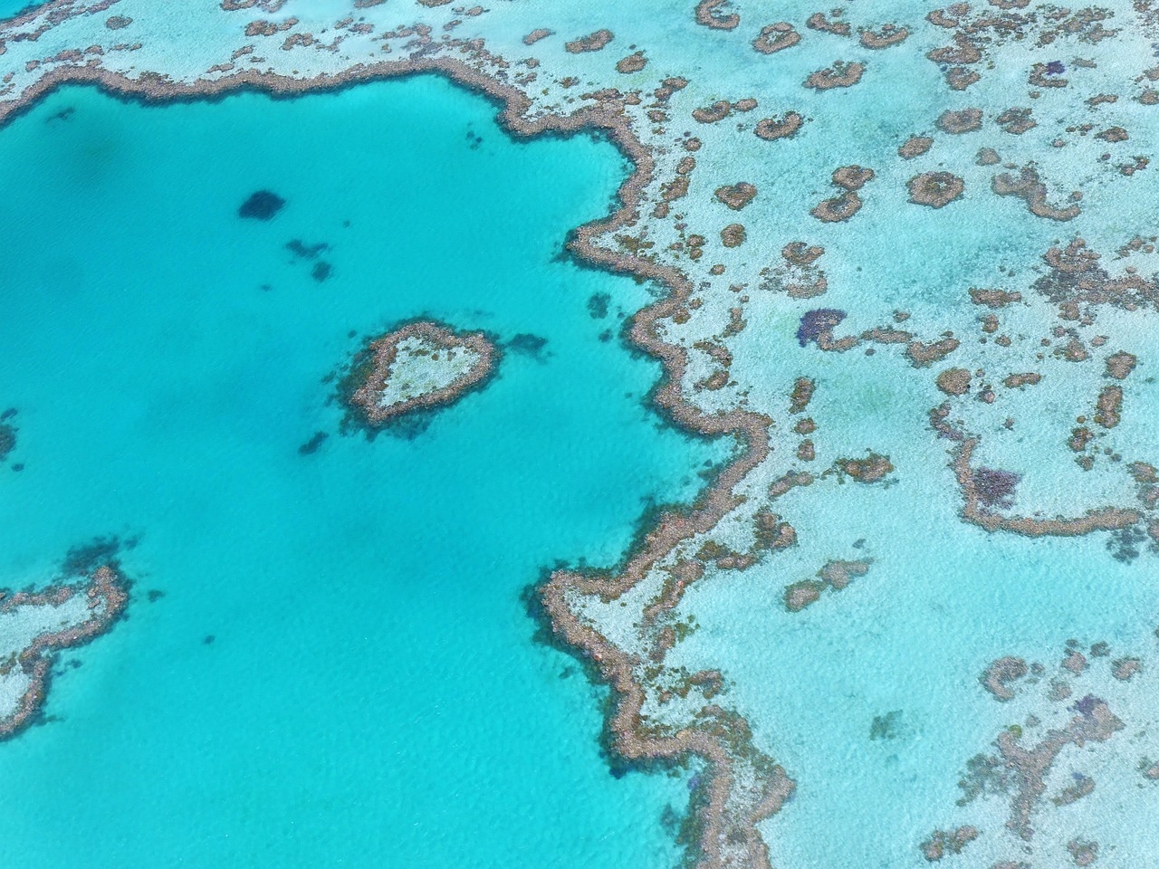 Great Barrier Reef Day Trips
