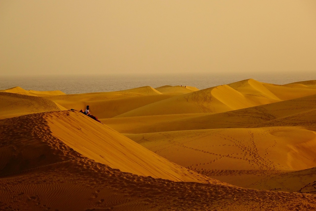 Sahara Desert Brand Event