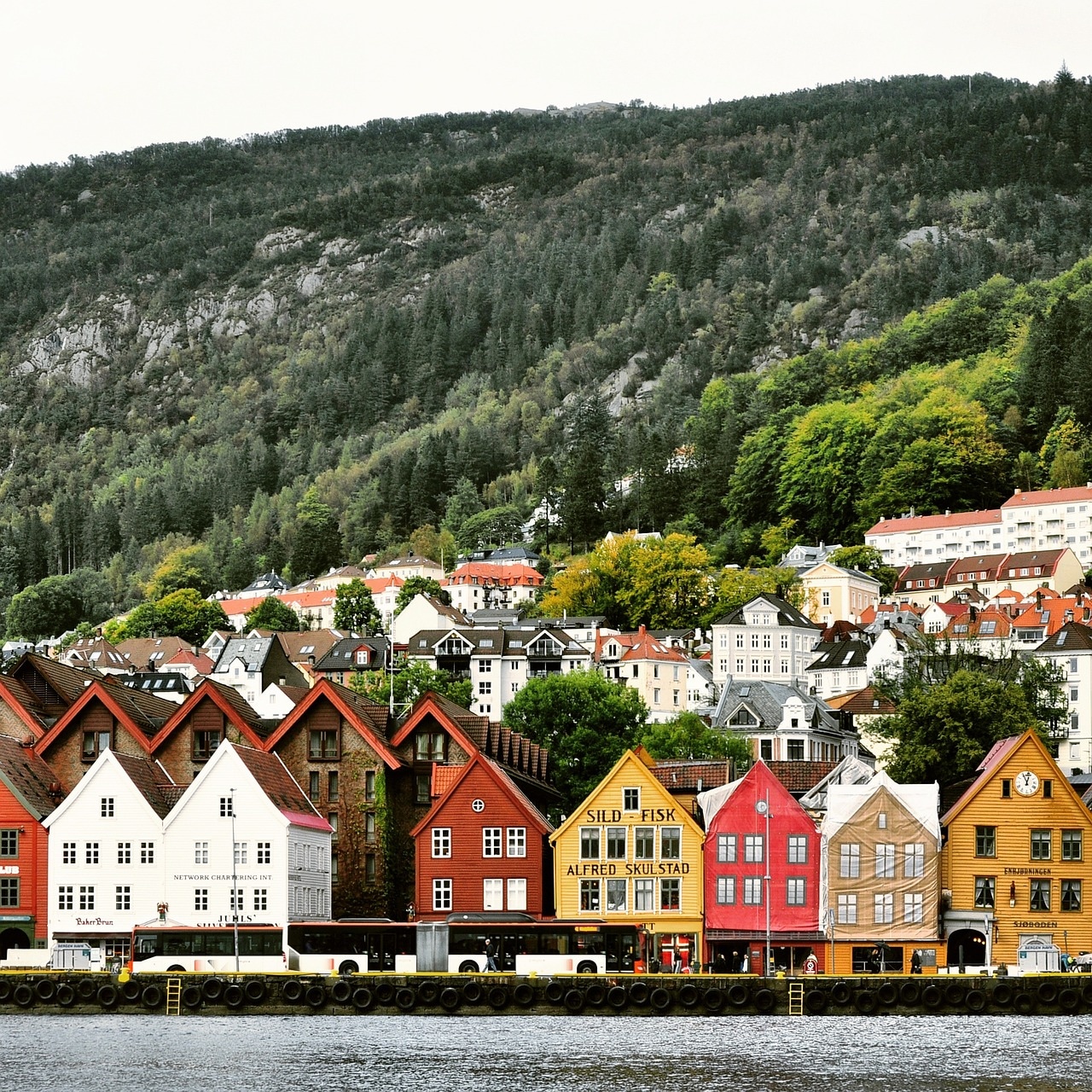 Norway Incentive & Conference